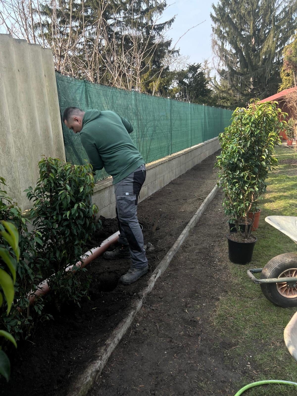 Mitarbeiter pflanzt eine Glanzmispel-Hecke entlang eines Zauns, daneben stehen weitere Pflanzen in Töpfen und eine Schubkarre.