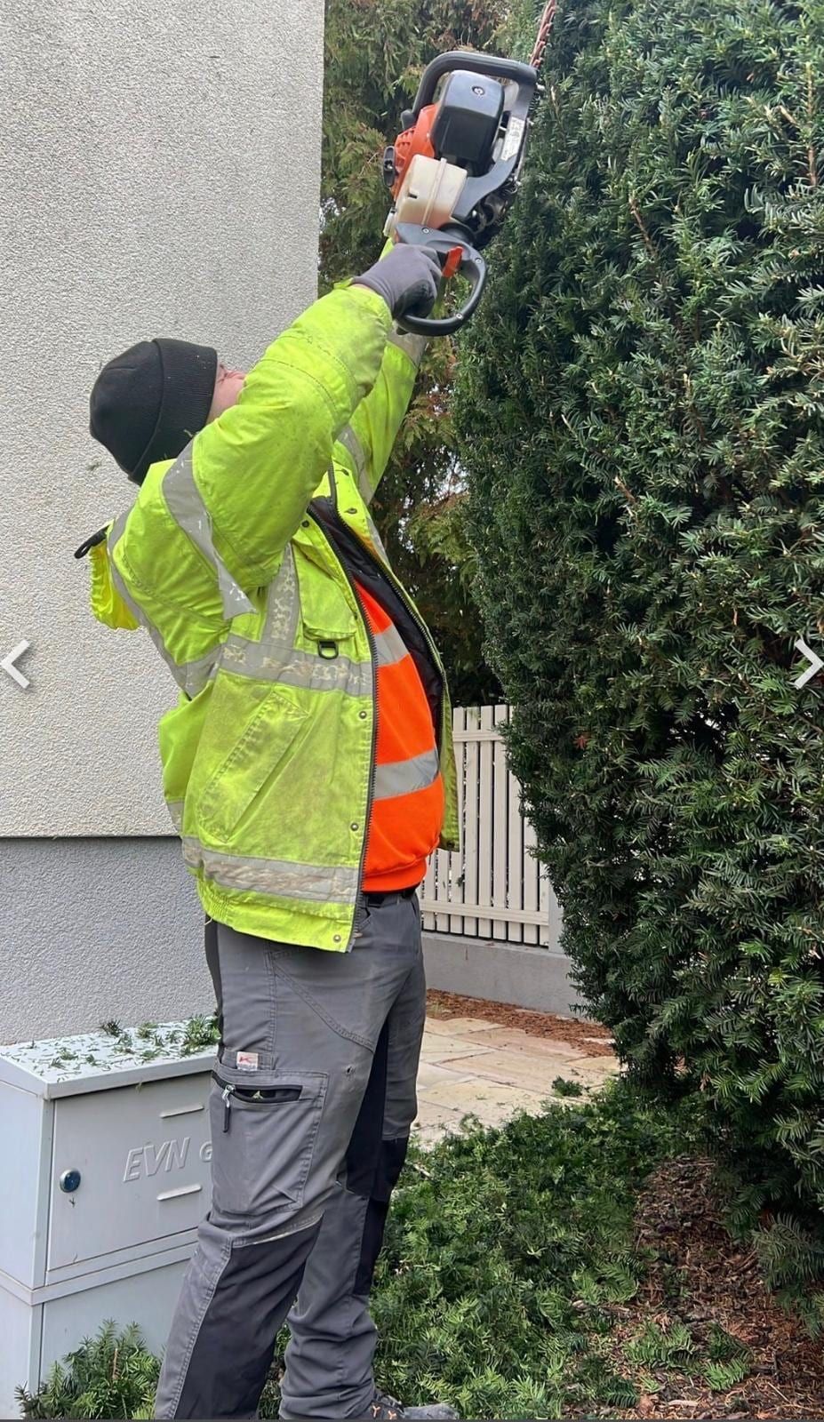 Mitarbeiter in Warnjacke schneidet mit einer Motor-Heckenschere eine Eibenhecke an einer Hausecke.