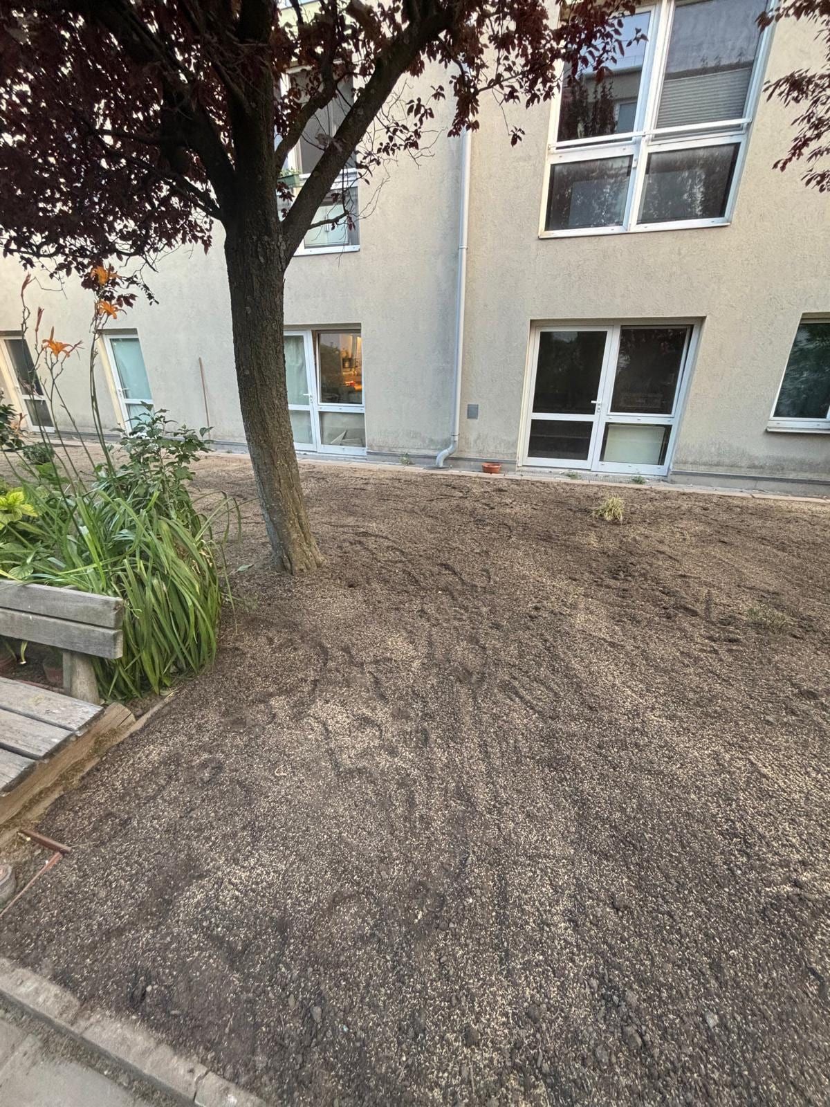 Frisch planierte und angesäte Erdfläche im Innenhof einer Wohnhausanlage, links eine Holzbank und Taglilien.