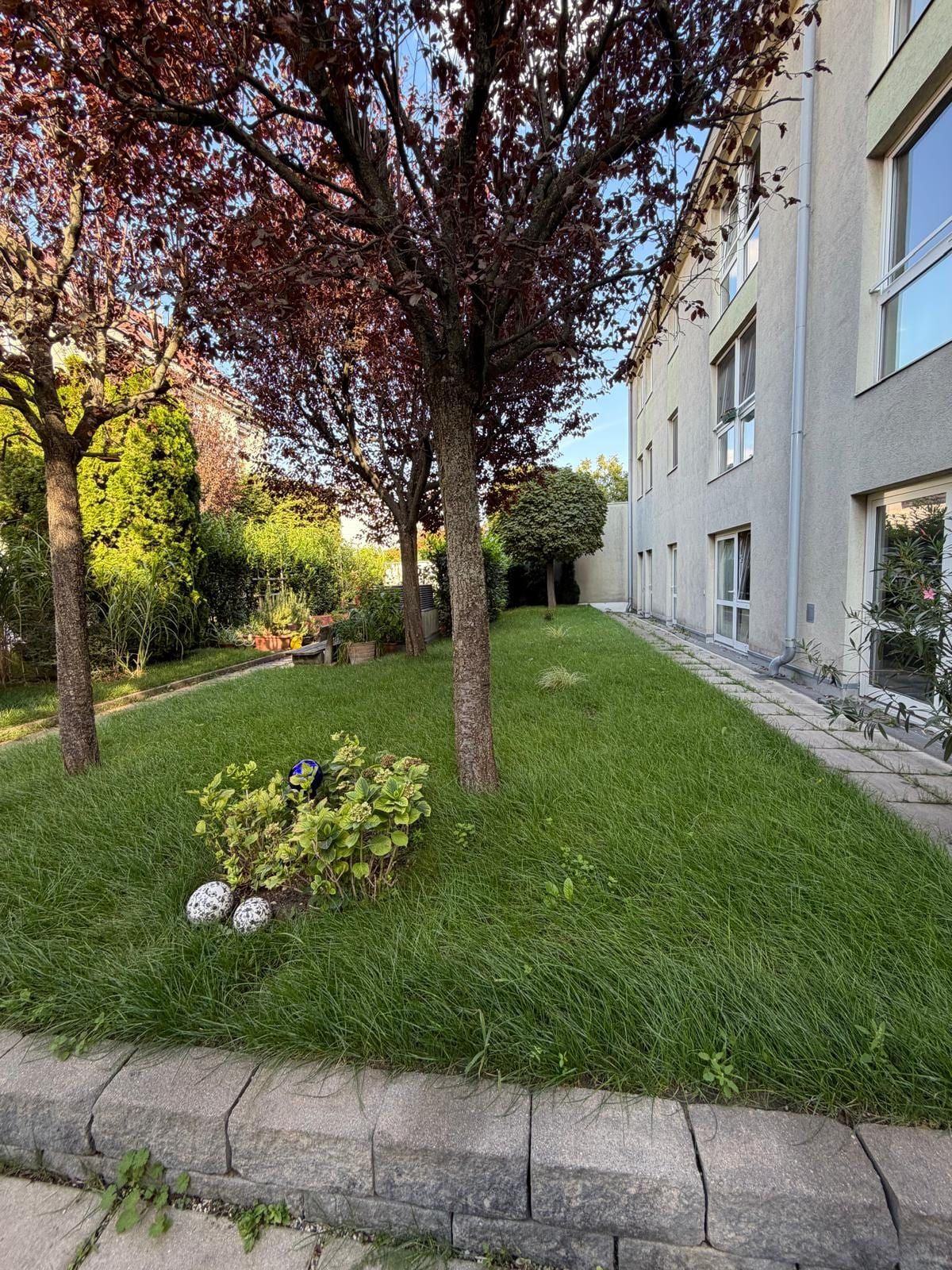 Nachher – dieselbe Fläche aus fast gleicher Perspektive mit dichtem, grünem Rasen.