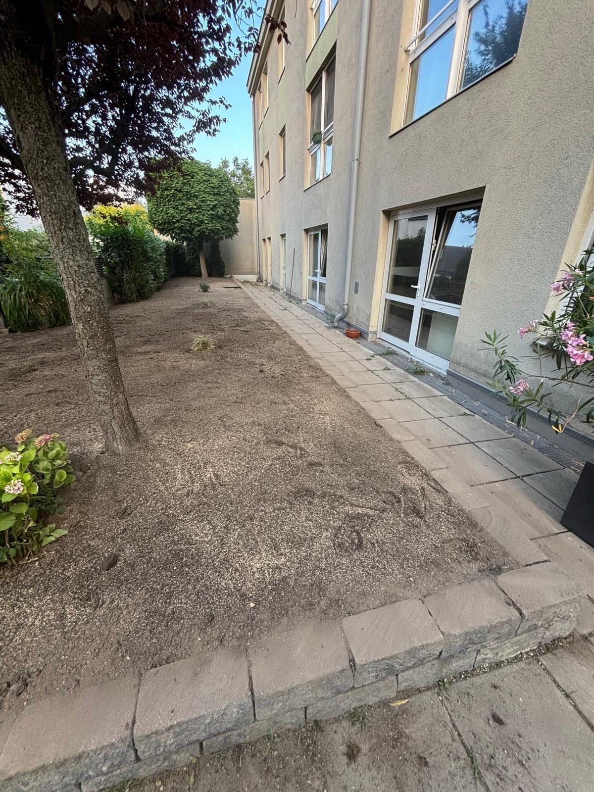Vorher – frisch planierte und angesäte Erdfläche im Innenhof einer Wohnhausanlage, unter einer Blutpflaume.