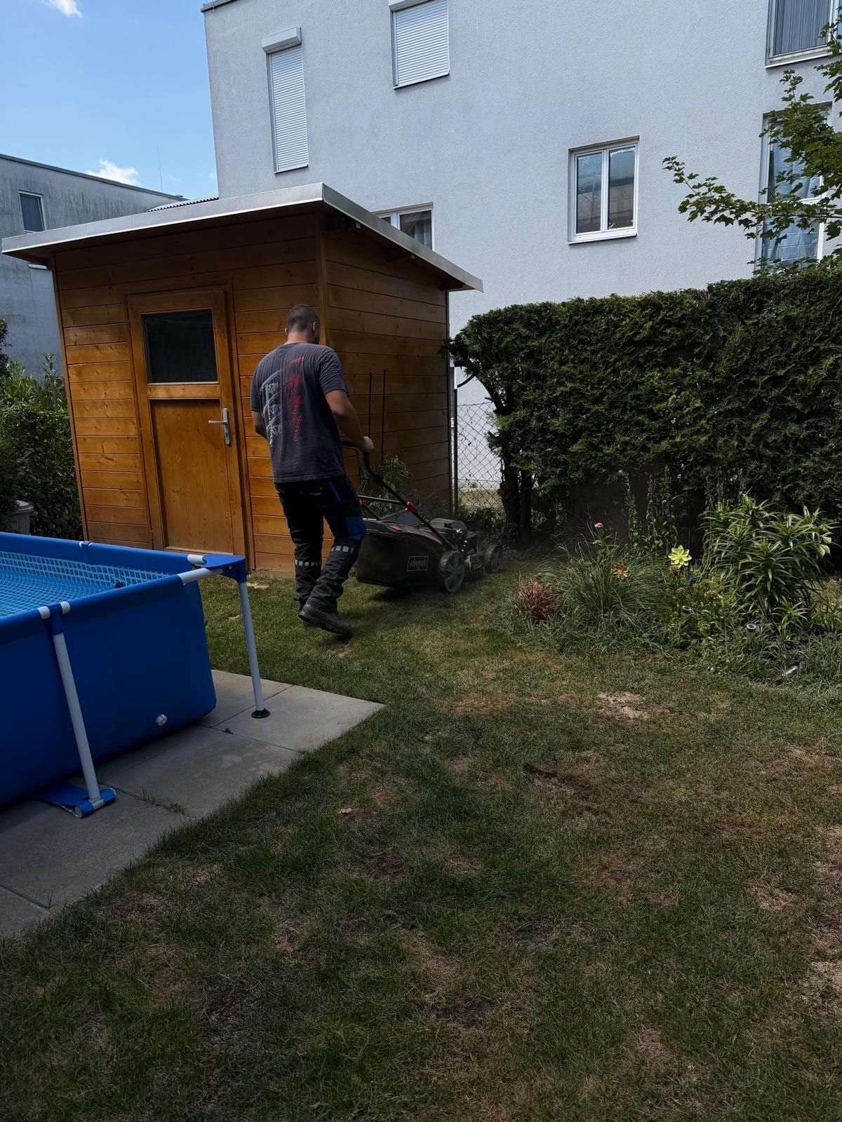 Mitarbeiter mäht mit einem Rasenmäher den Rasen in einem Hausgarten neben einer Gartenhütte.