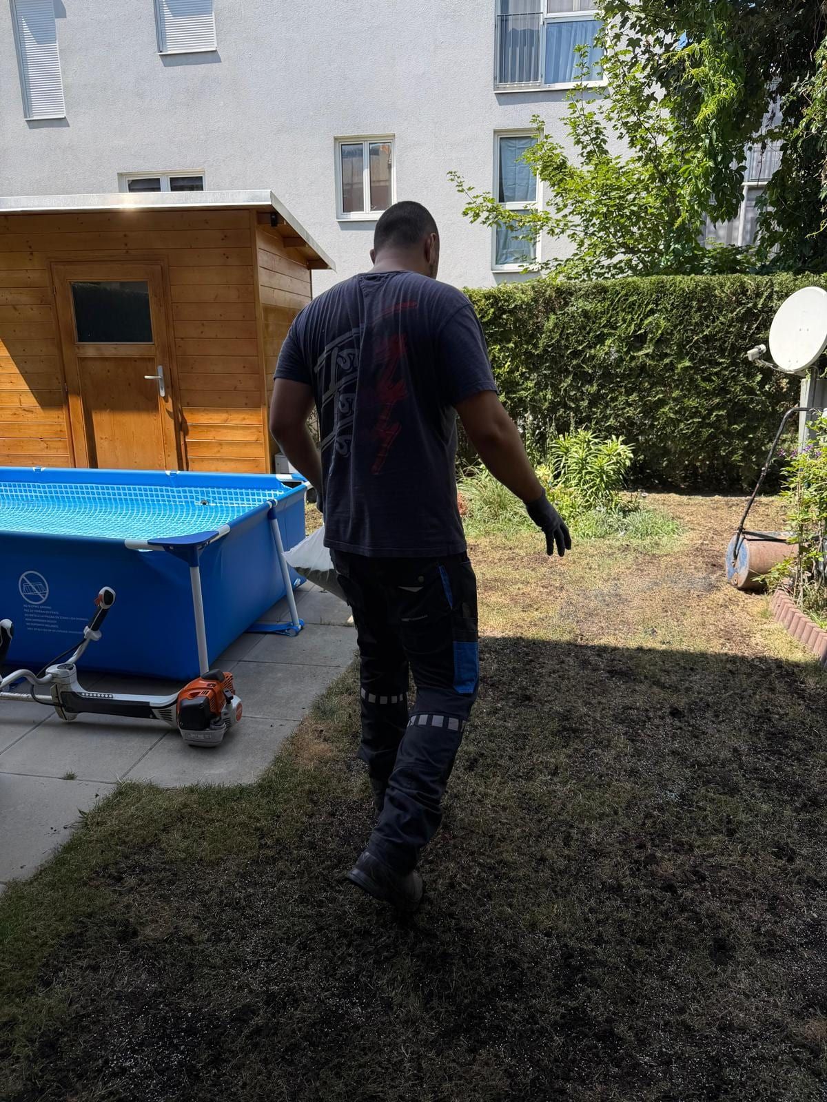 Mitarbeiter trägt Saatgut auf die vertikutierte Rasenfläche auf, daneben steht eine Rasenwalze.