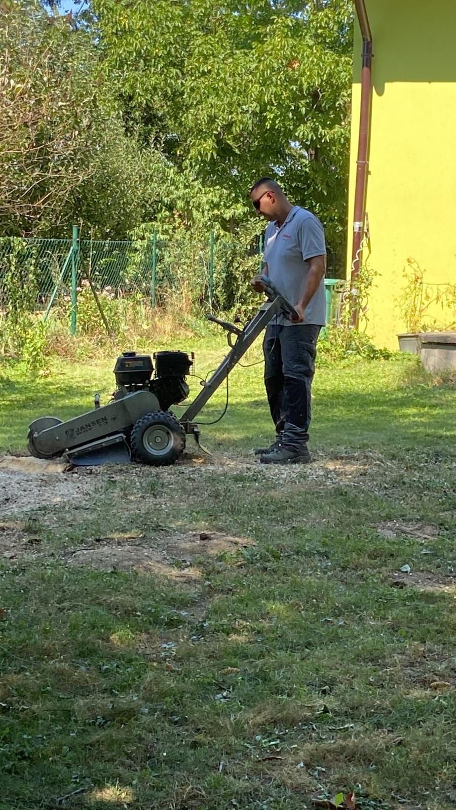 Mitarbeiter fräst mit einer Wurzelstockfräse einen alten Wurzelstock aus einer Rasenfläche.